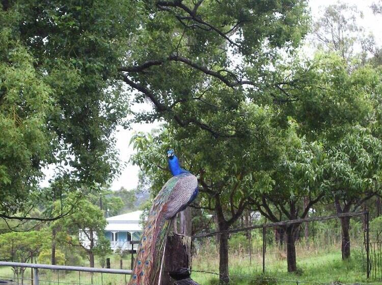 Hotel Lagoon Pocket B&b