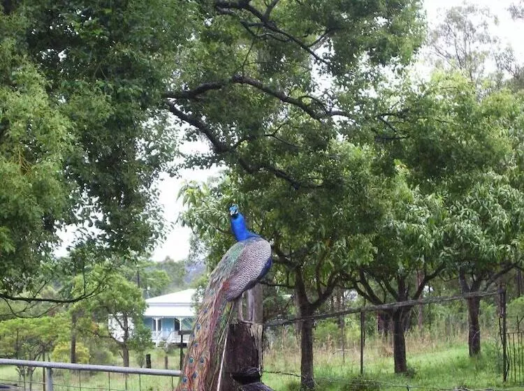 호텔 Lagoon Pocket B&b