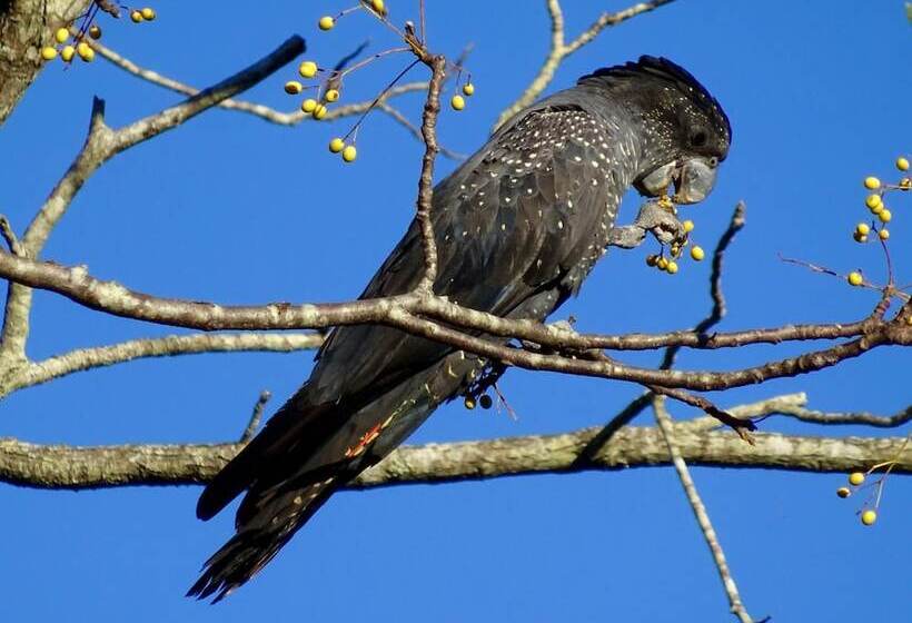Hotel Lagoon Pocket B&b