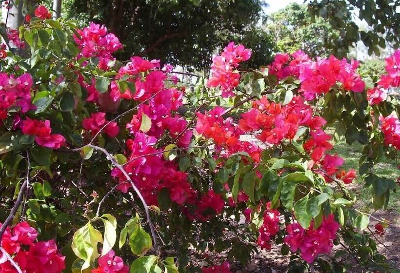 Hotel Lagoon Pocket B&b