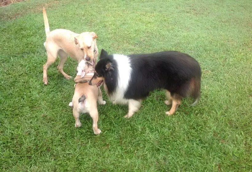 호텔 Lagoon Pocket B&b