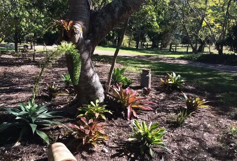 호텔 Lagoon Pocket B&b