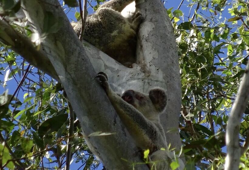 Hotel Lagoon Pocket B&b