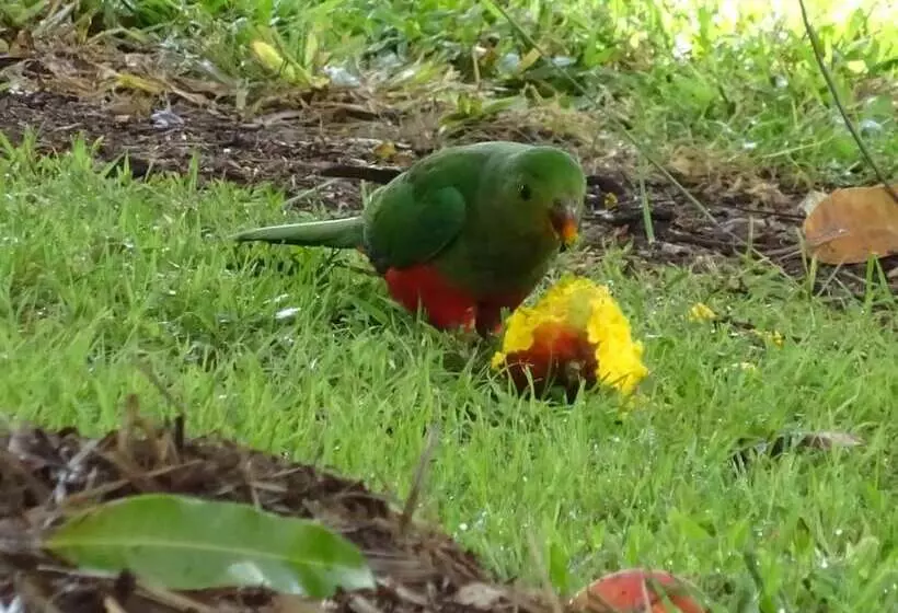 호텔 Lagoon Pocket B&b