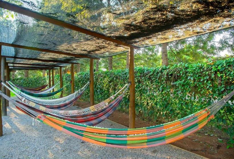 호텔 Pousada Paiol