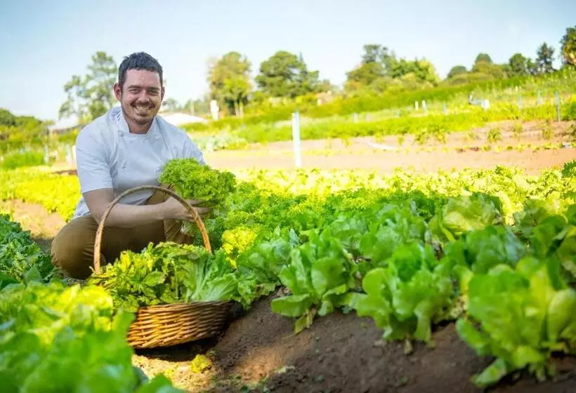 Отель Pousada Paiol