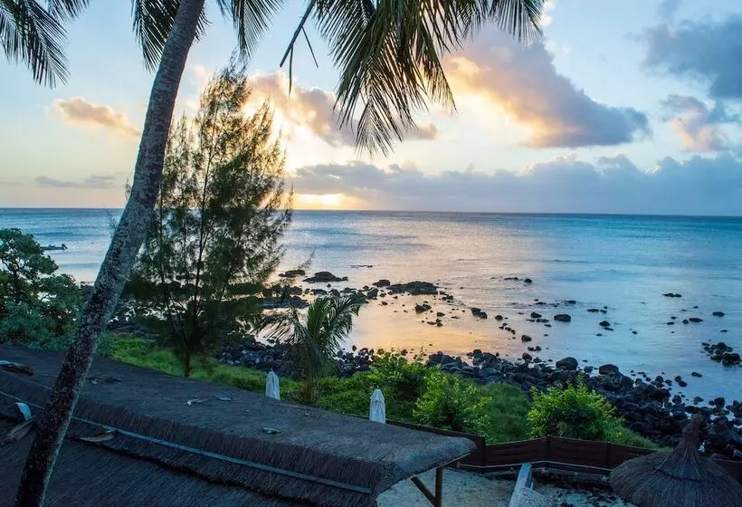 Flowers Of Paradise With Lov