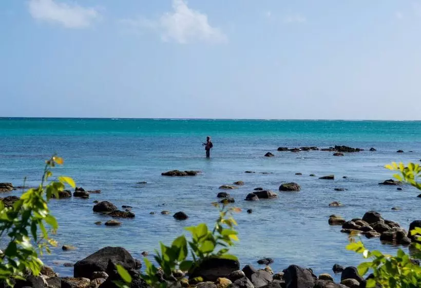 Flowers Of Paradise With Lov