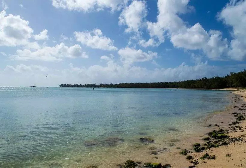 Flowers Of Paradise With Lov