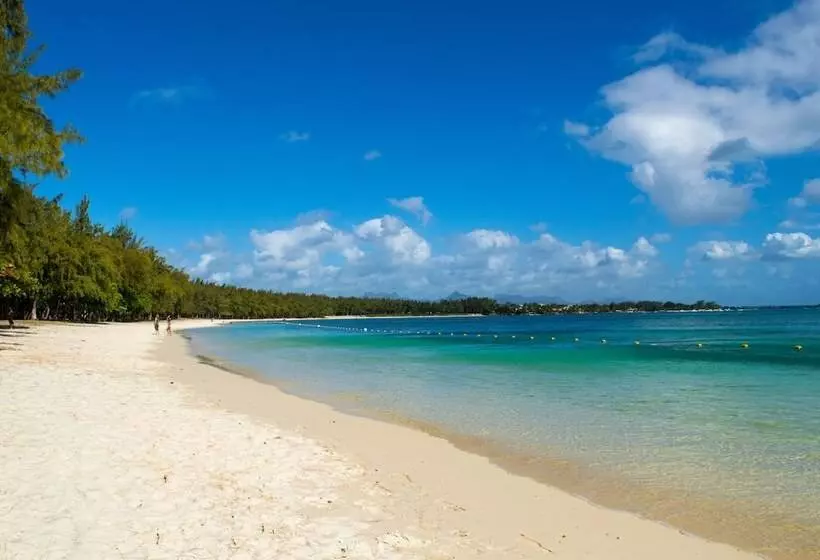 Flowers Of Paradise With Lov