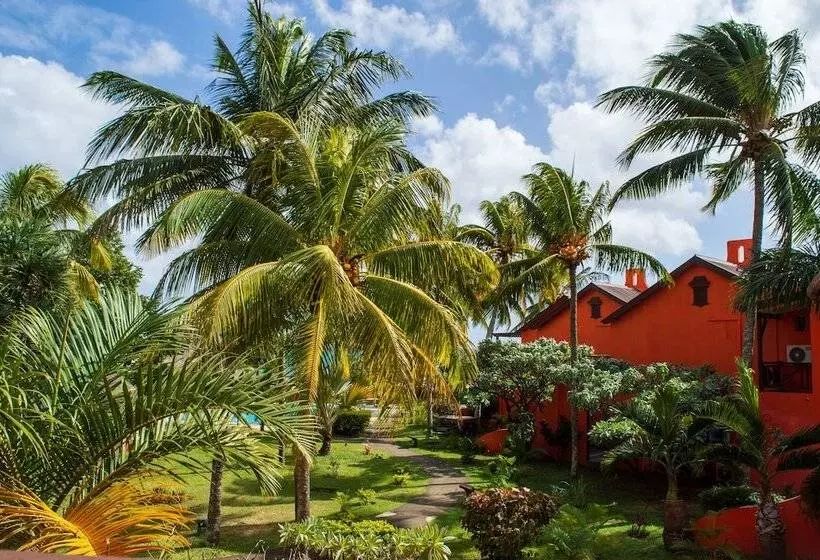 Flowers Of Paradise With Lov