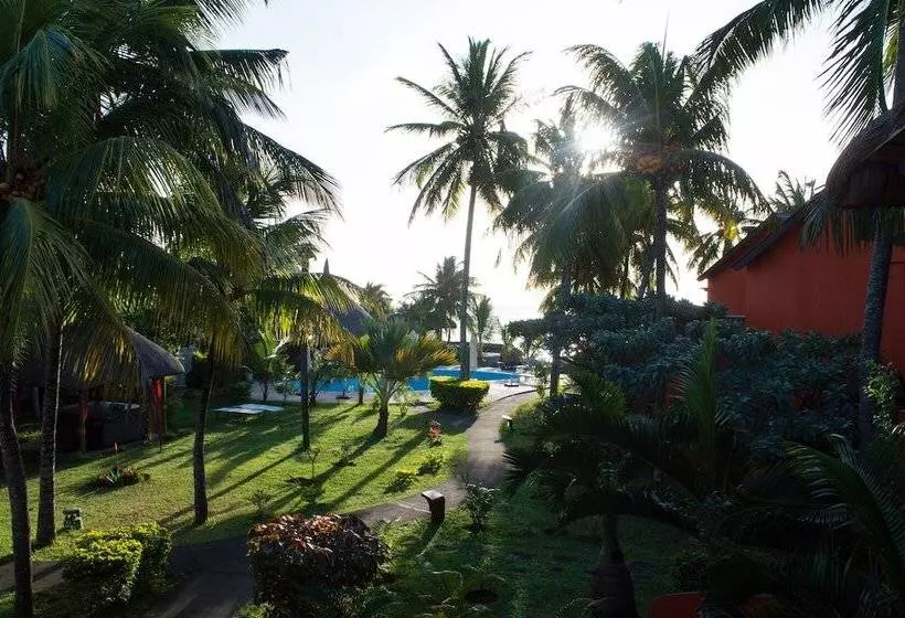 Flowers Of Paradise With Lov