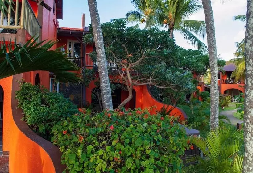 Flowers Of Paradise With Lov