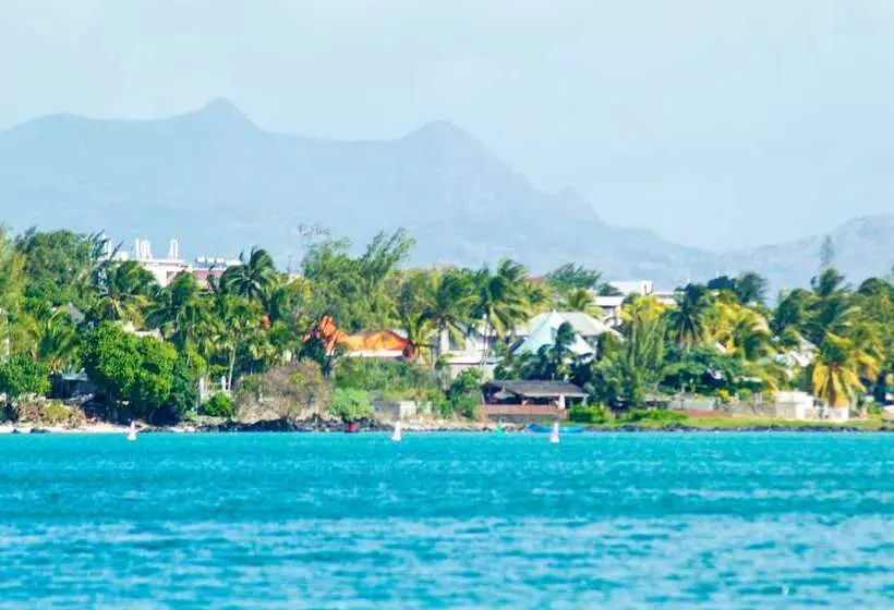 Flowers Of Paradise With Lov