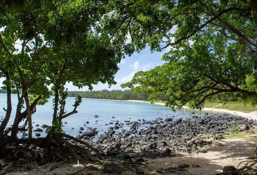 Flowers Of Paradise With Lov