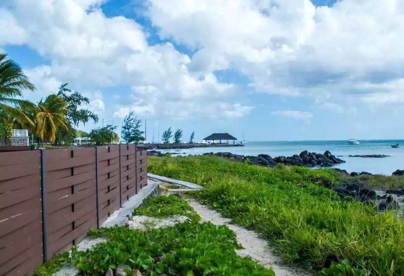 Flowers Of Paradise With Lov