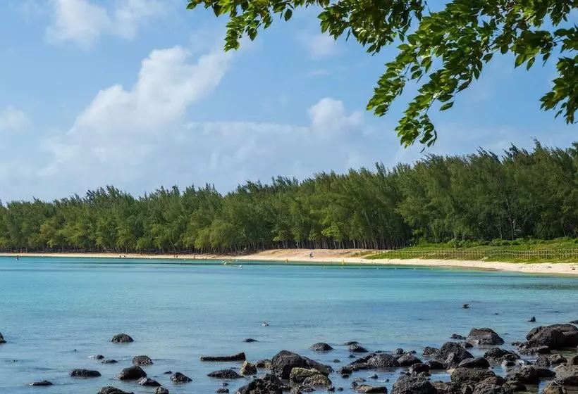 Flowers Of Paradise With Lov