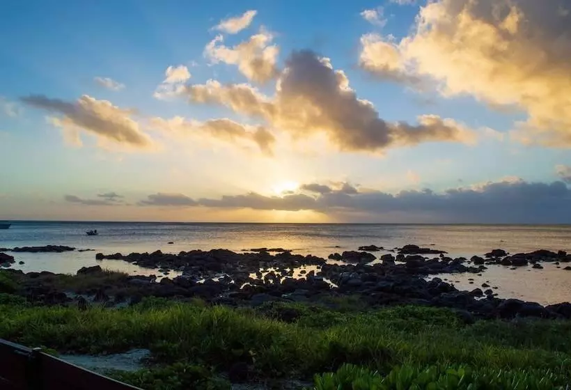 Flowers Of Paradise With Lov