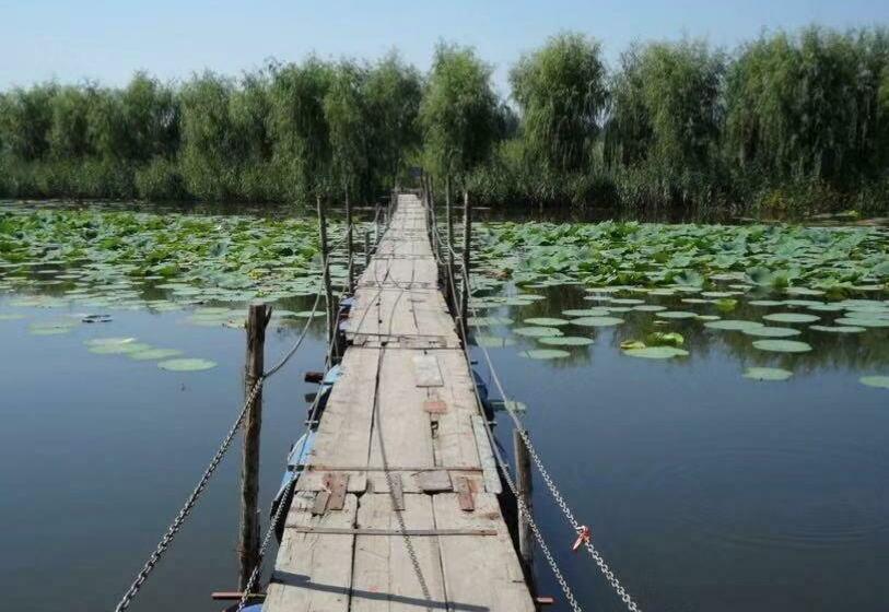 Hotel 7days Premium Xiong An New District Rongcheng Baiyangdian Branch