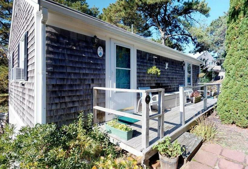 Hotel Beach Rose Guest Studio