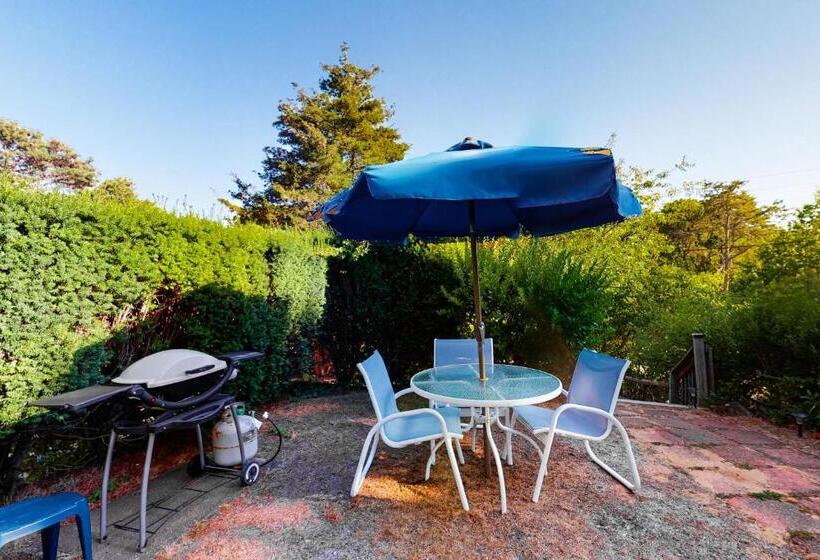 Hotel Beach Rose Guest Studio