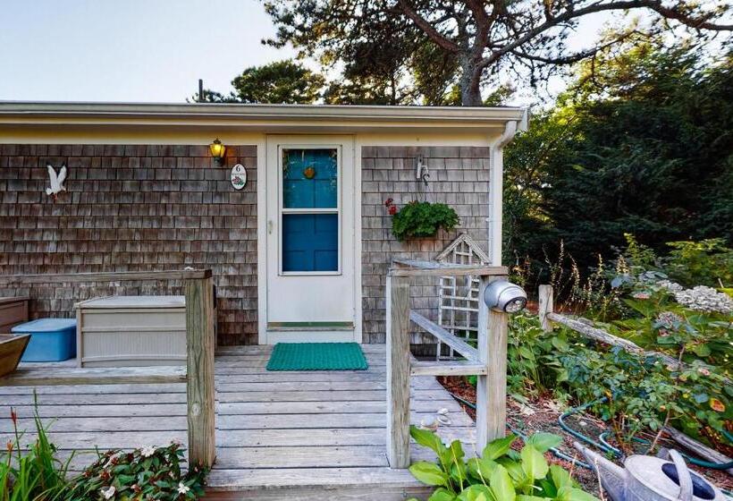 Hotel Beach Rose Guest Studio