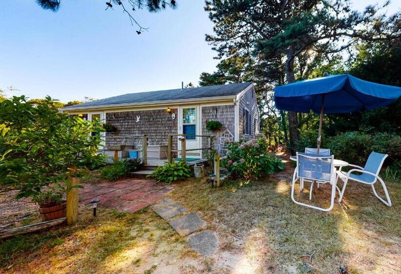 Hotel Beach Rose Guest Studio