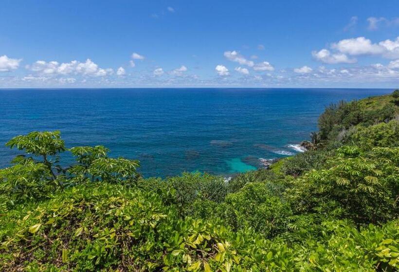 בית מלון כפרי Pali Ke Kua 144