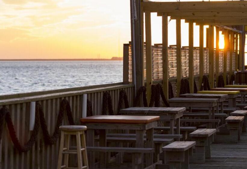 فندق Florence #707