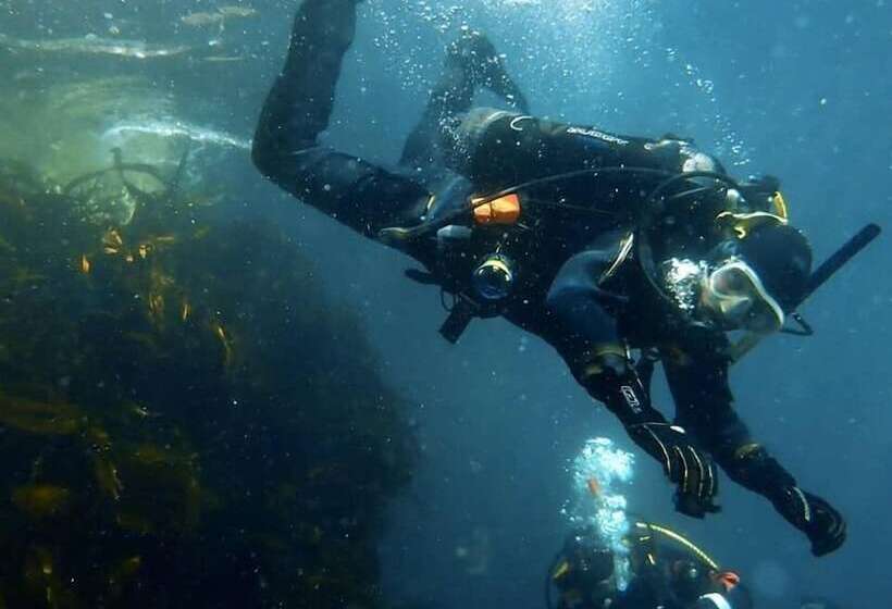 ベッドアンドブレックファースト Harbour House