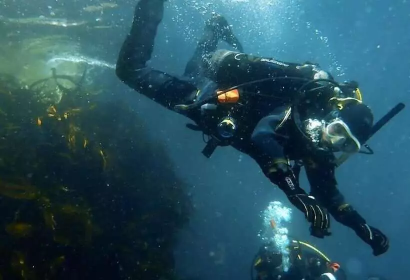 צימר Harbour House