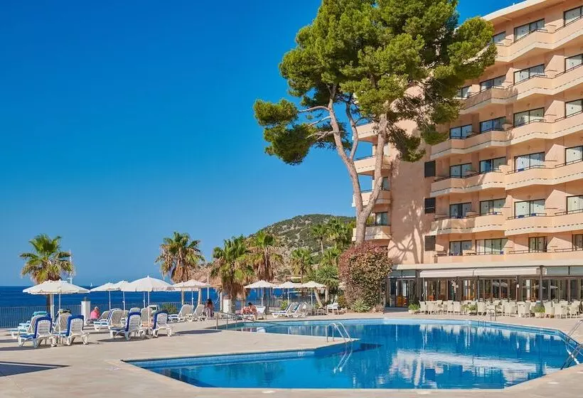 Grupotel Playa Camp De Mar  Adults Only