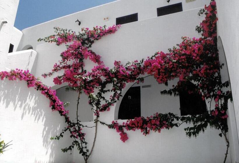 בית מלון כפרי San Antonio Summer House