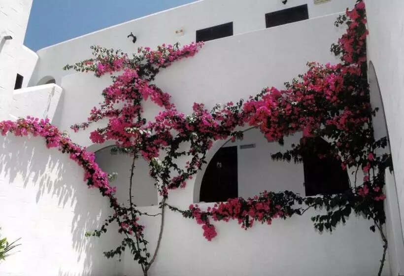 酒店 San Antonio Summer House