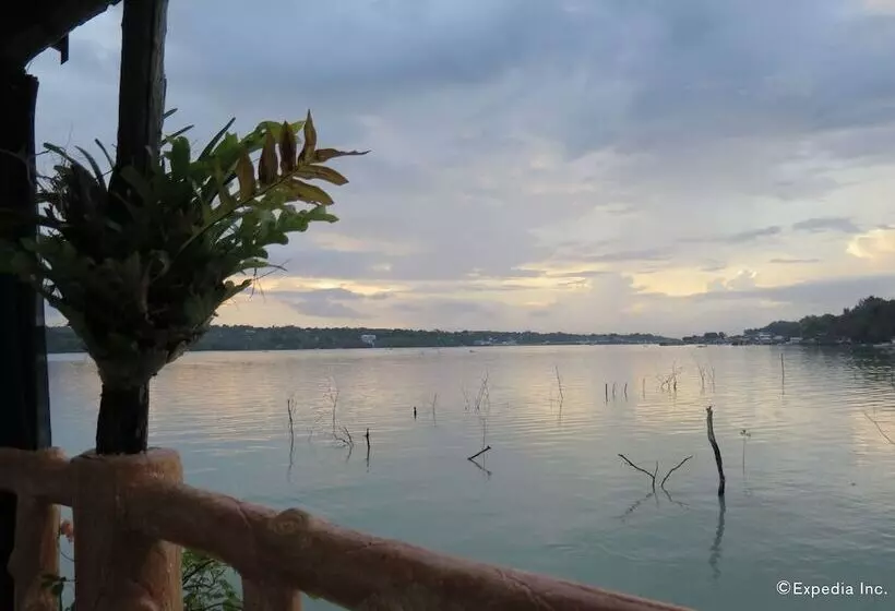 בית מלון כפרי Villa Alzhun Tourist Inn And Restaurant