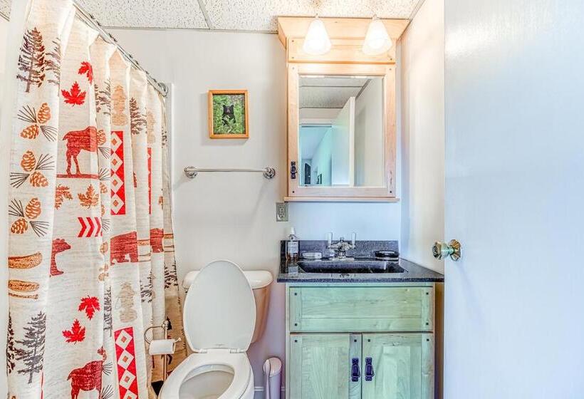 ホテル Squaw Village Condo