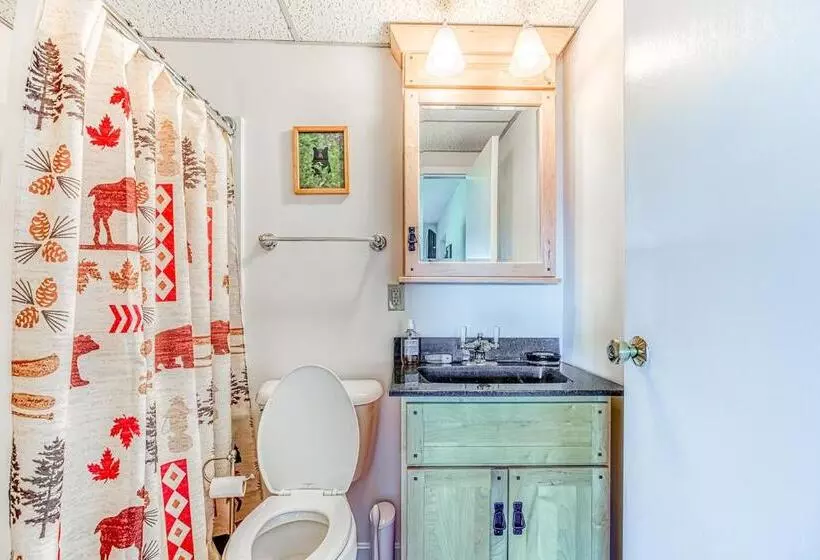 ホテル Squaw Village Condo