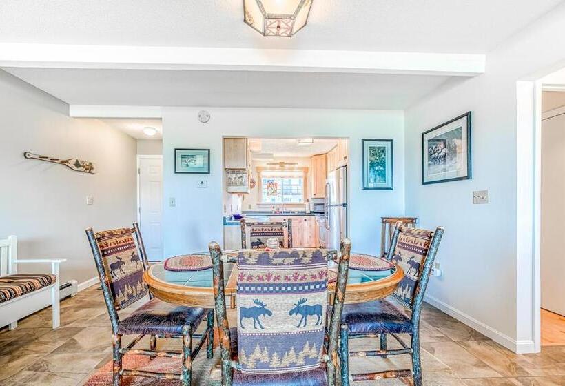 ホテル Squaw Village Condo