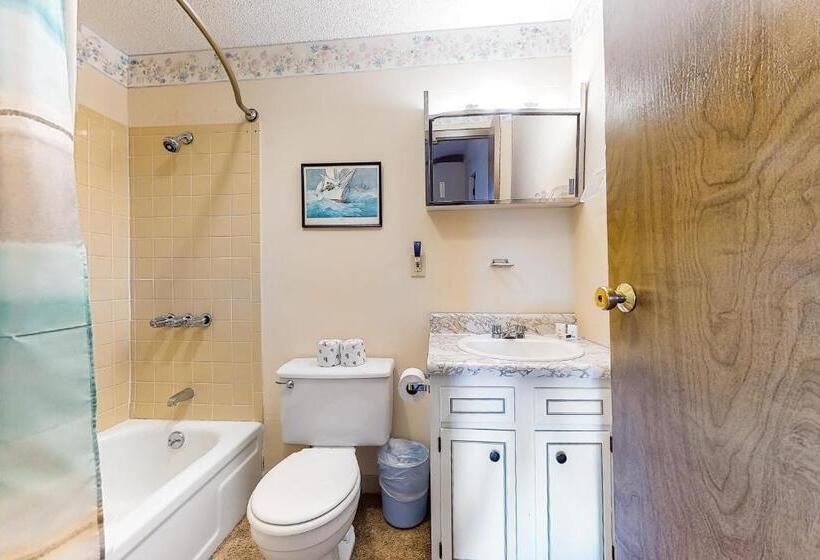 ホテル Squaw Village Condo