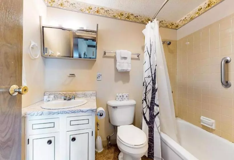 ホテル Squaw Village Condo