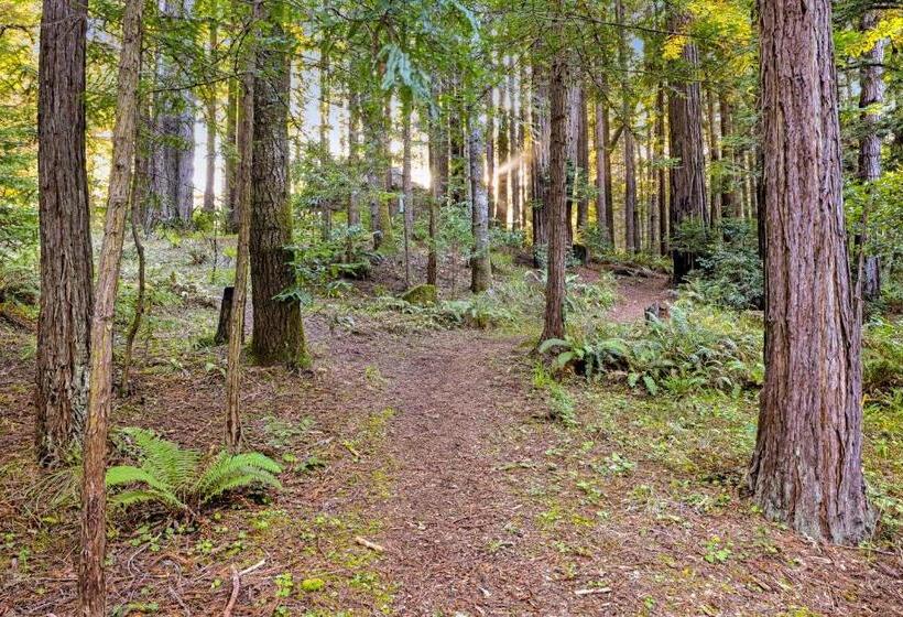 فندق The Tea House