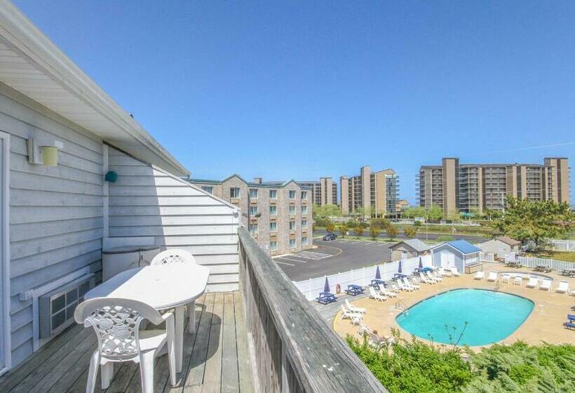 ホテル Bethany Beach Inn   202 Bethany Beach Inn