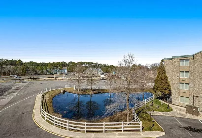 ホテル Bethany Beach Inn   202 Bethany Beach Inn