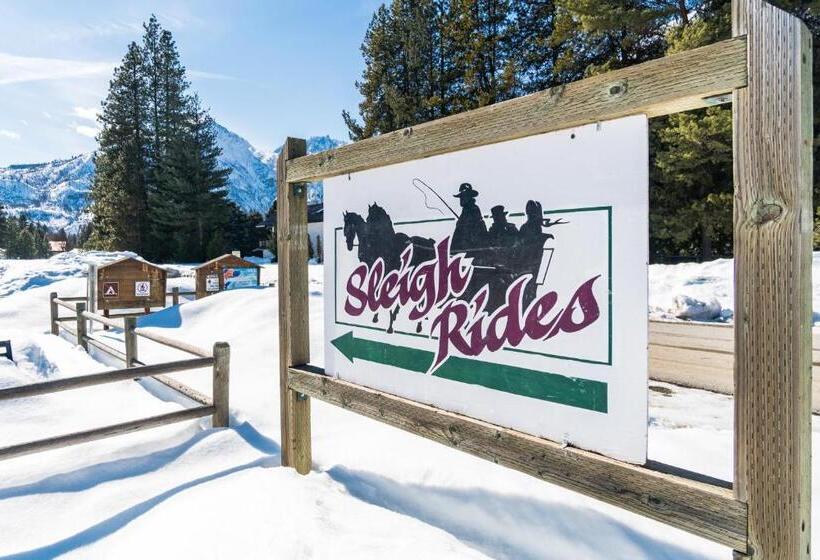 هتل Aspen Suites 506: The Nest