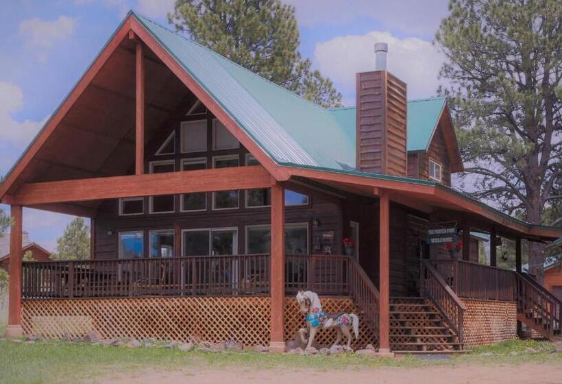 هتل Painted Pony Cabin