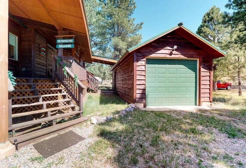 هتل Painted Pony Cabin