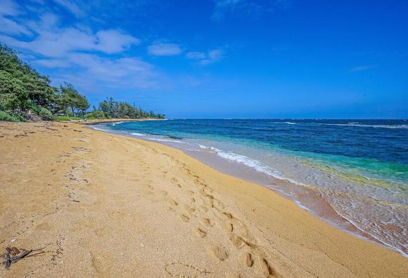 Hotel Islander On The Beach 361