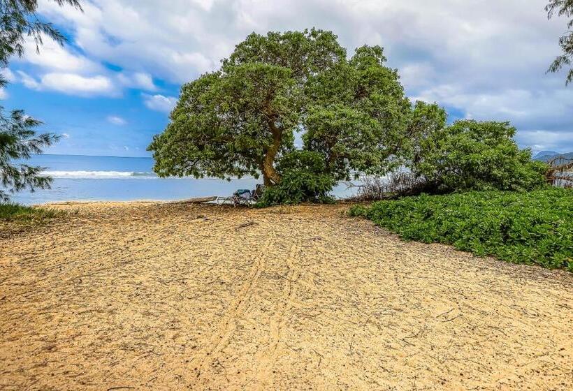Hotel Islander On The Beach 361