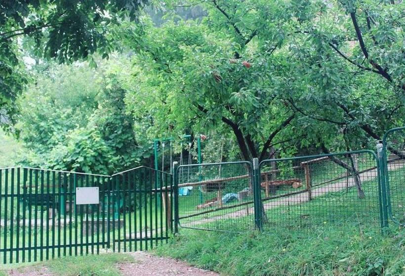 تختخواب و صبحانه Medena Oaza Mira 2