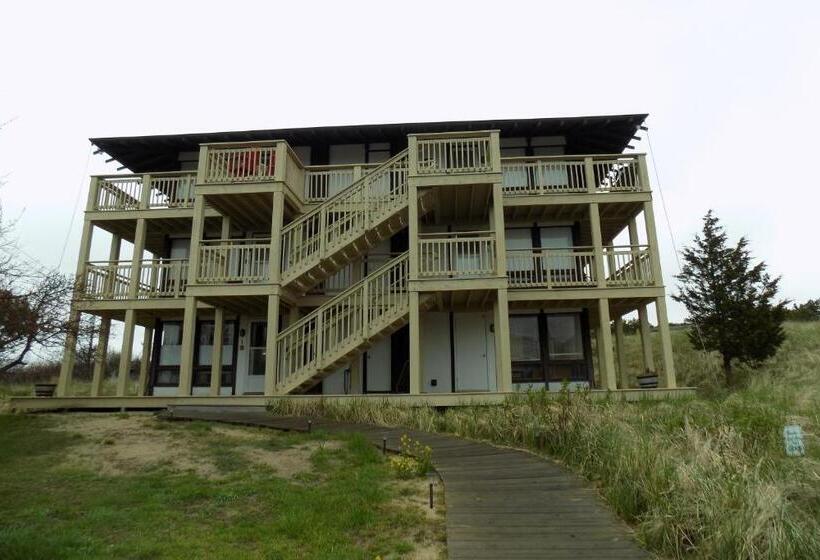 בית מלון כפרי Stay Sandy